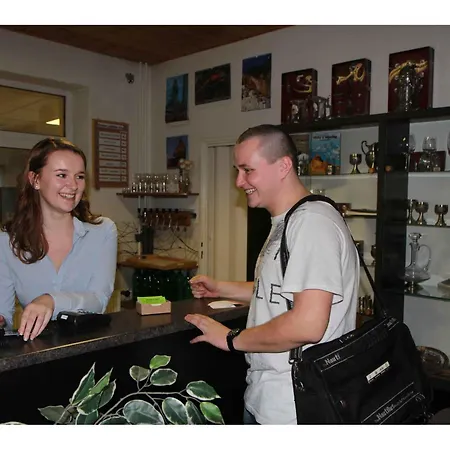 Panzió Bed & Breakfast Brünn (Brno)